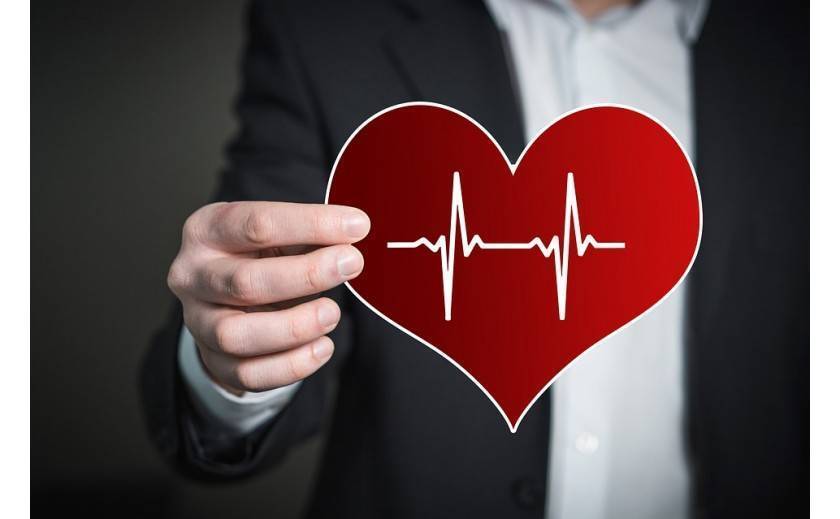 Salud cardiovascular: vigila tu colesterol